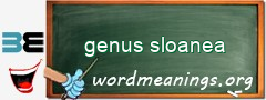 WordMeaning blackboard for genus sloanea